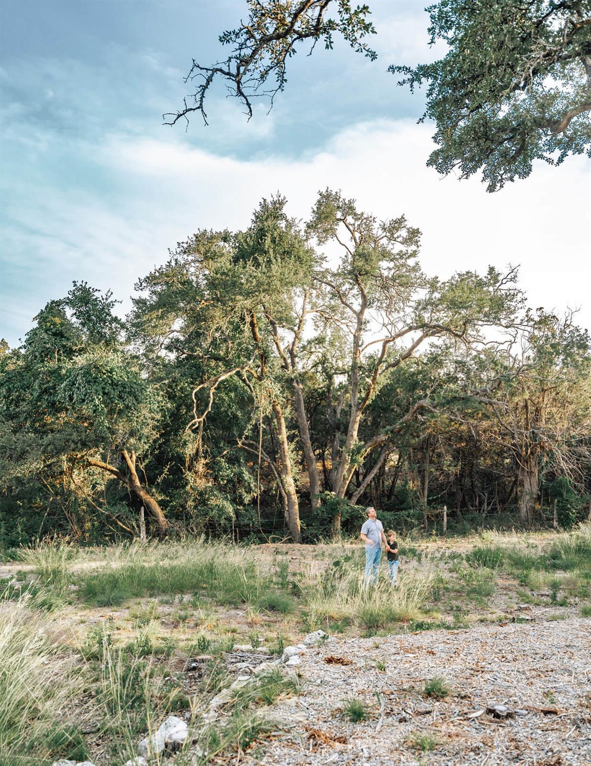 17650-A Hamilton Pool RD — photo 3