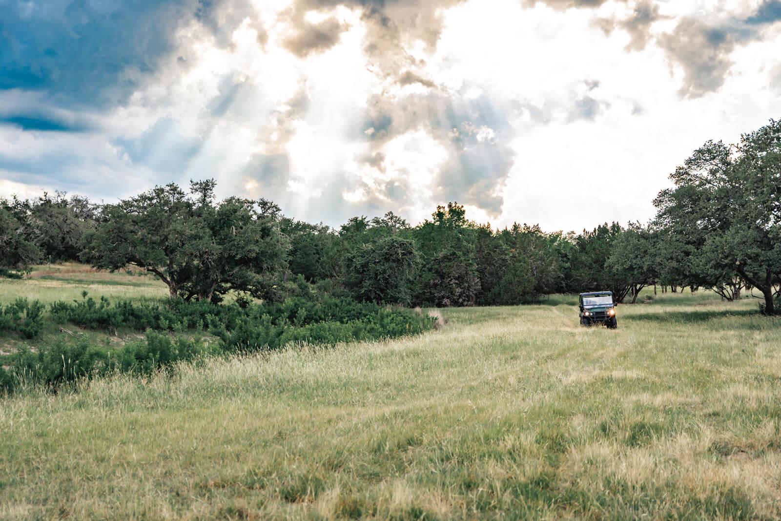 17650 Hamilton Pool RD — photo 3