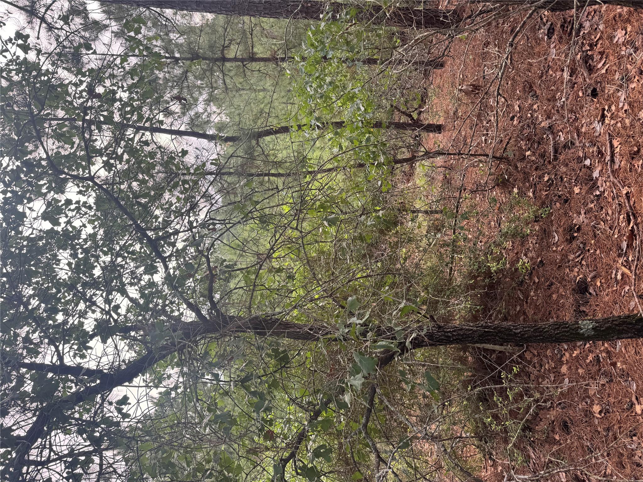 Lot 1492 Haleakala — photo 4