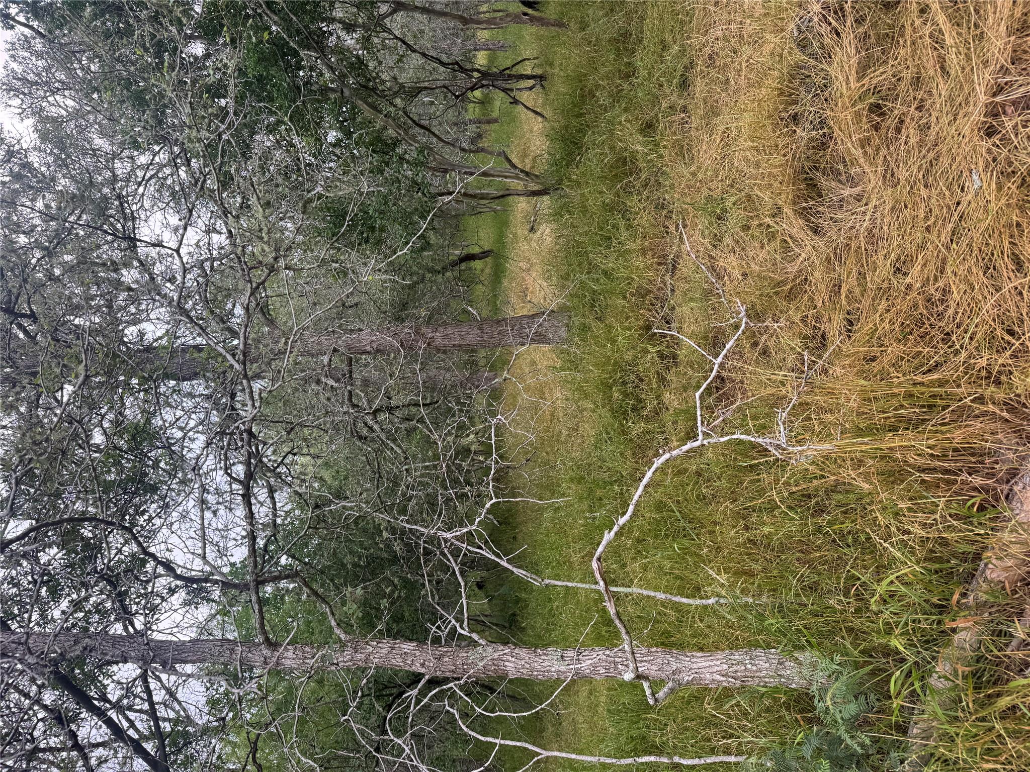 109 Hauula CT — photo 3