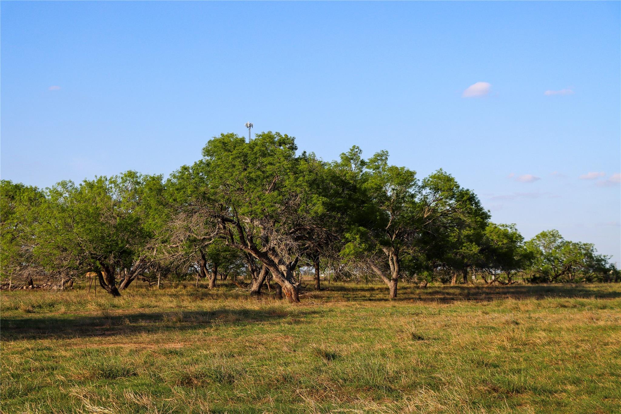 Tract 3 28.92 AC State Highway 87 — photo 4