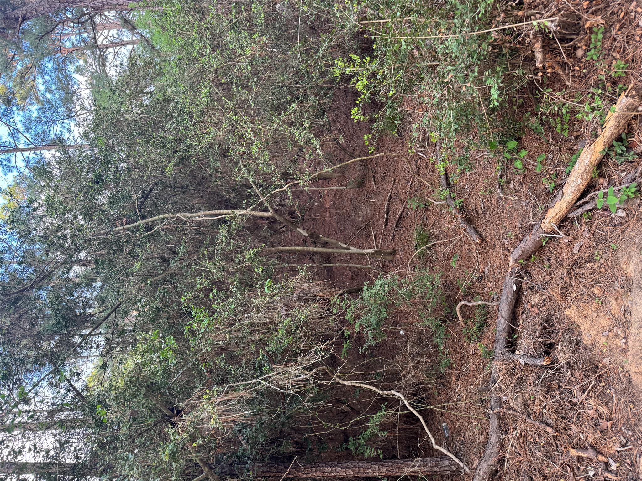Lots 158 and 159 Hekili DR — photo 3