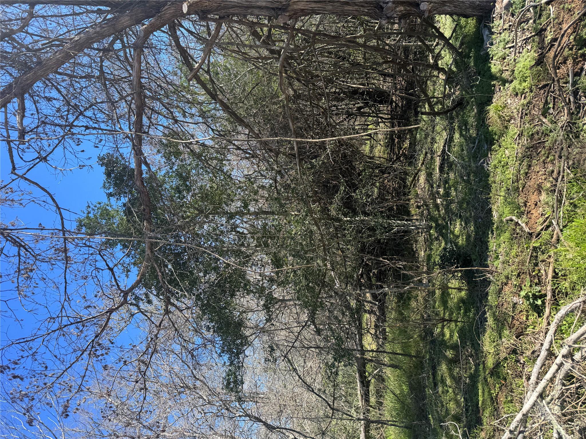 Lot 321 Kolekole LN — photo 4