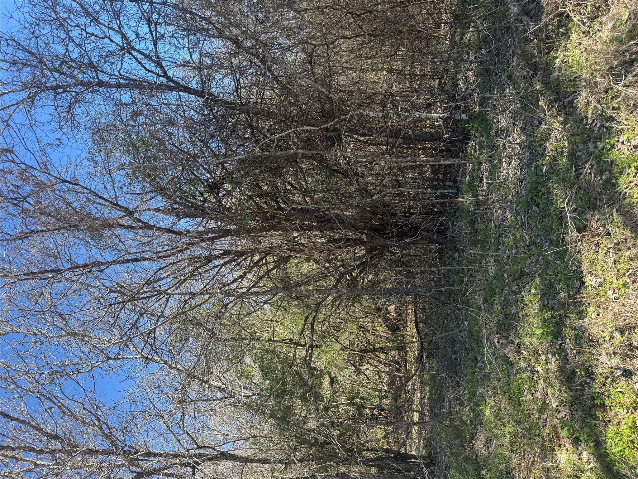 Lot 321 Kolekole LN — photo 5
