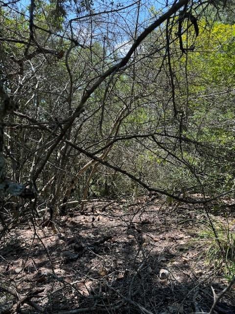 157 Lamaloa LN — photo 3