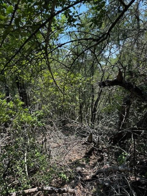 157 Lamaloa LN — photo 4