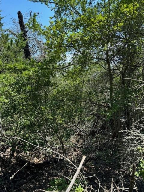 157 Lamaloa LN — photo 5