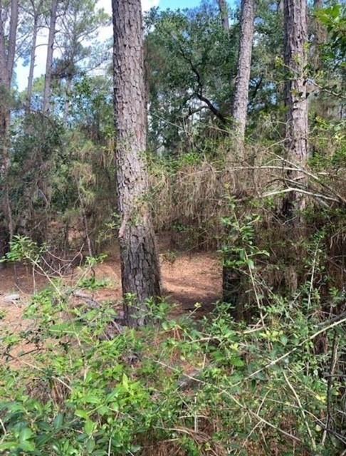 Lot 93 Papawai DR — photo 5