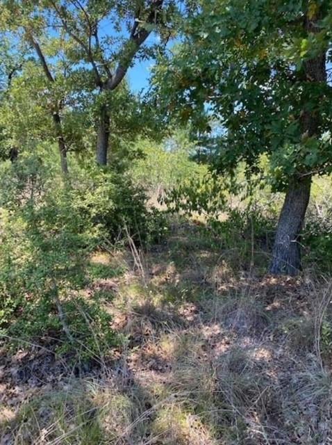 Lot 1123 Koali DR — photo 4