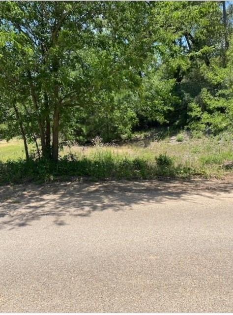 Lot 1123 Koali DR — photo 5