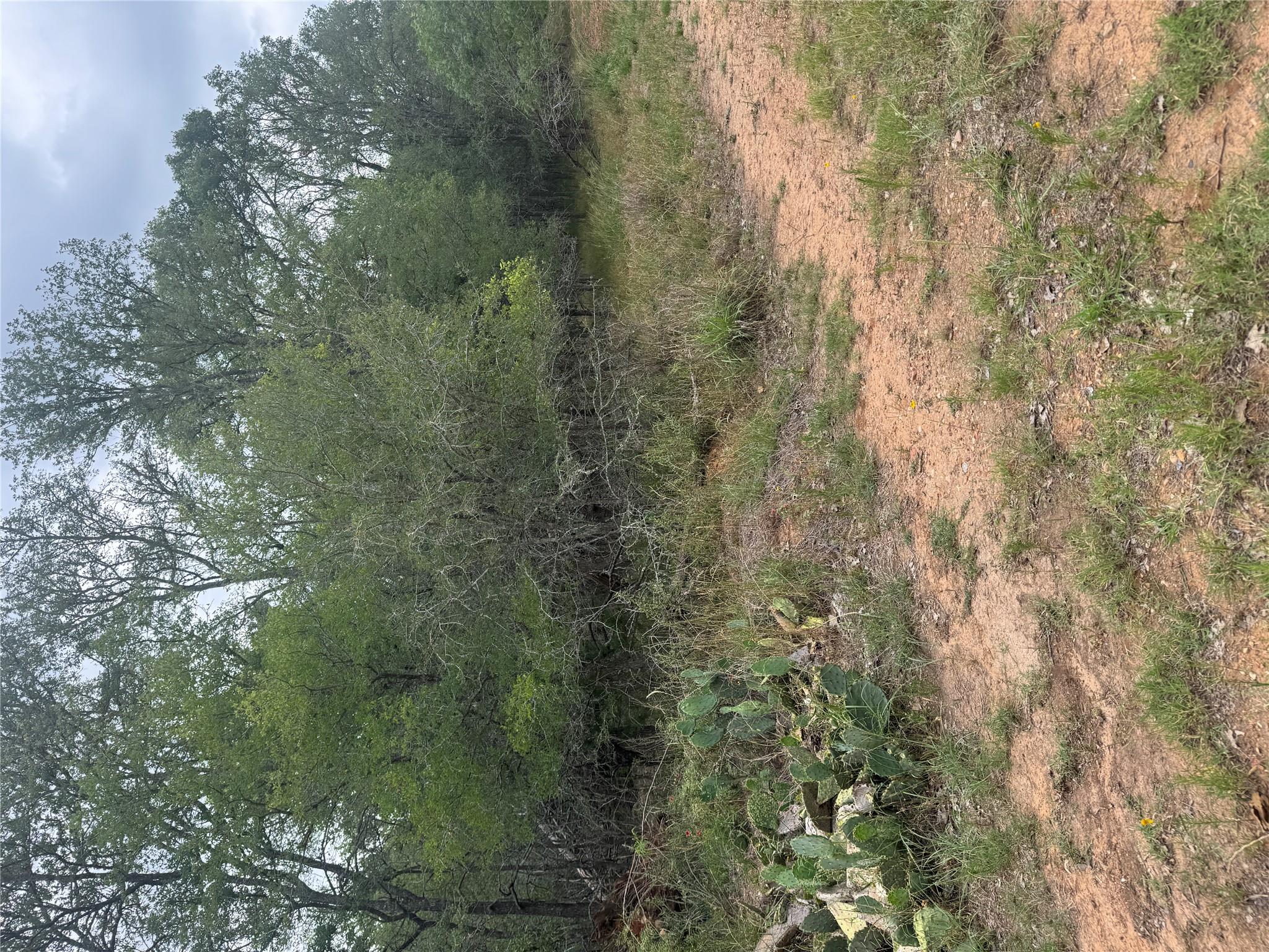 108 Howi LN — photo 3