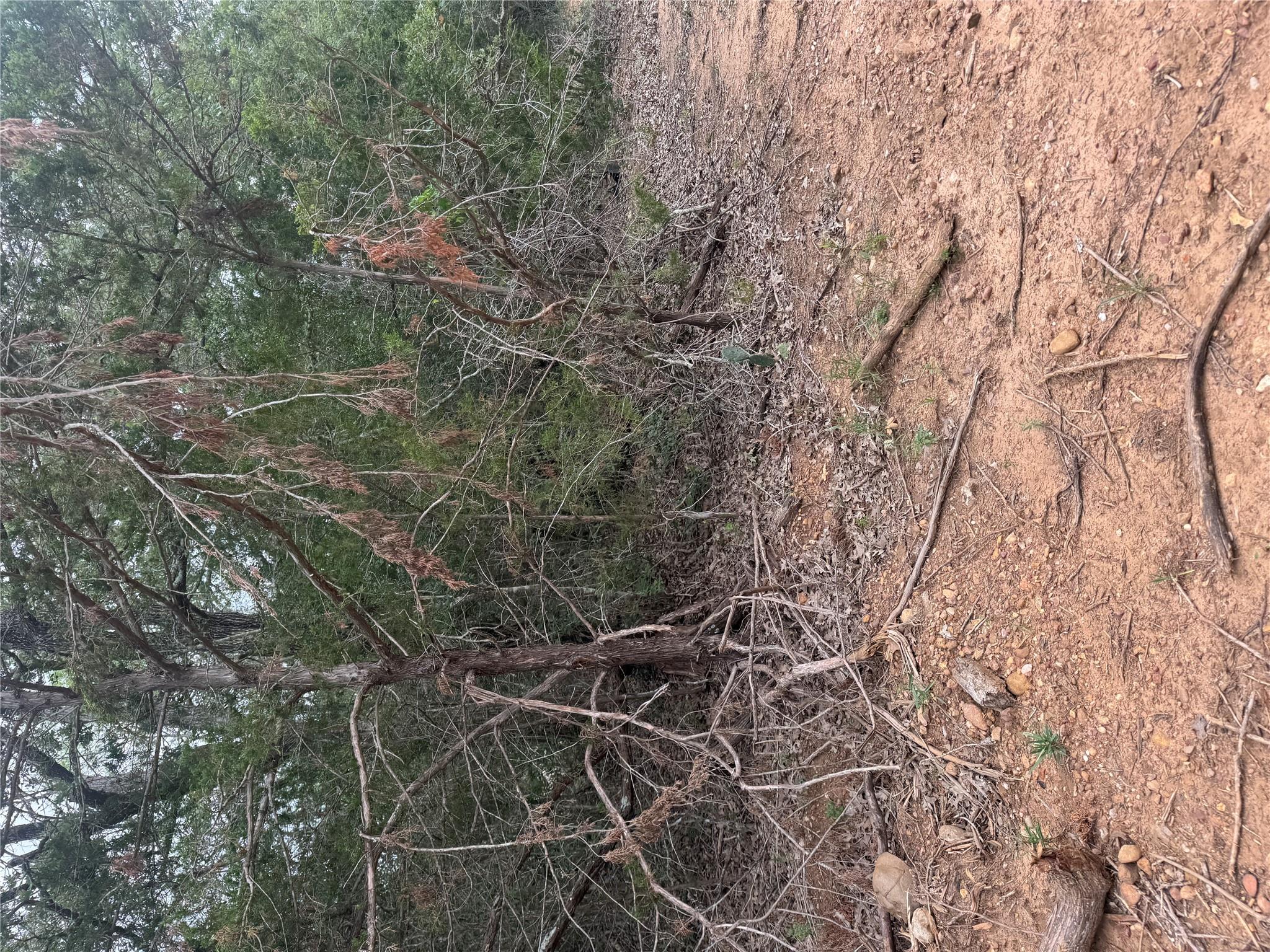 108 Howi LN — photo 5