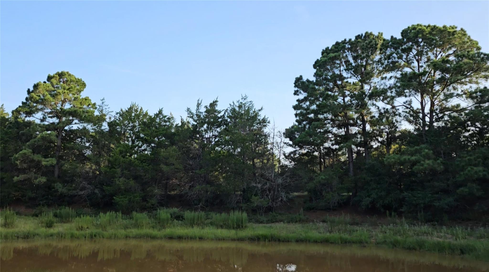 Ranch Land Easley RD — photo 5