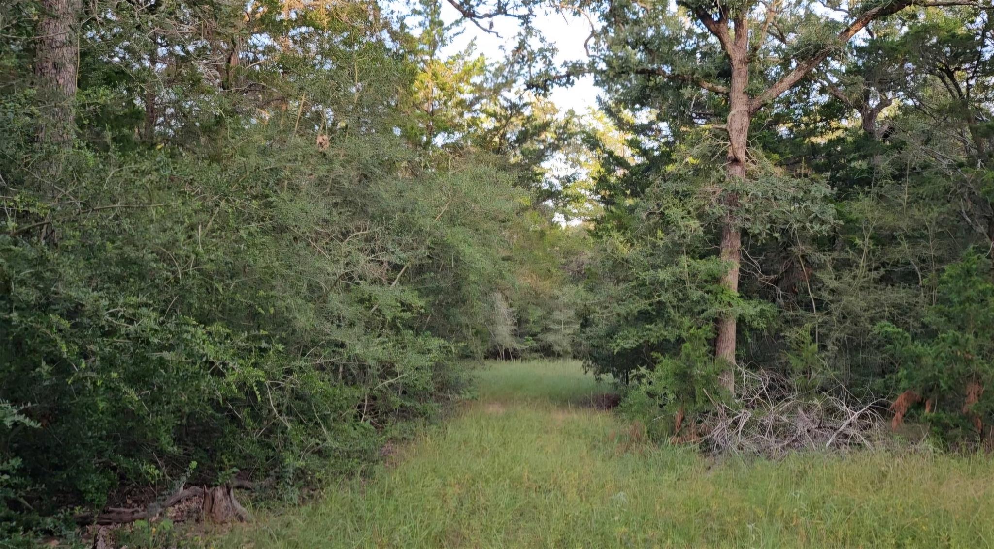 Ranch Land Easley RD — photo 3