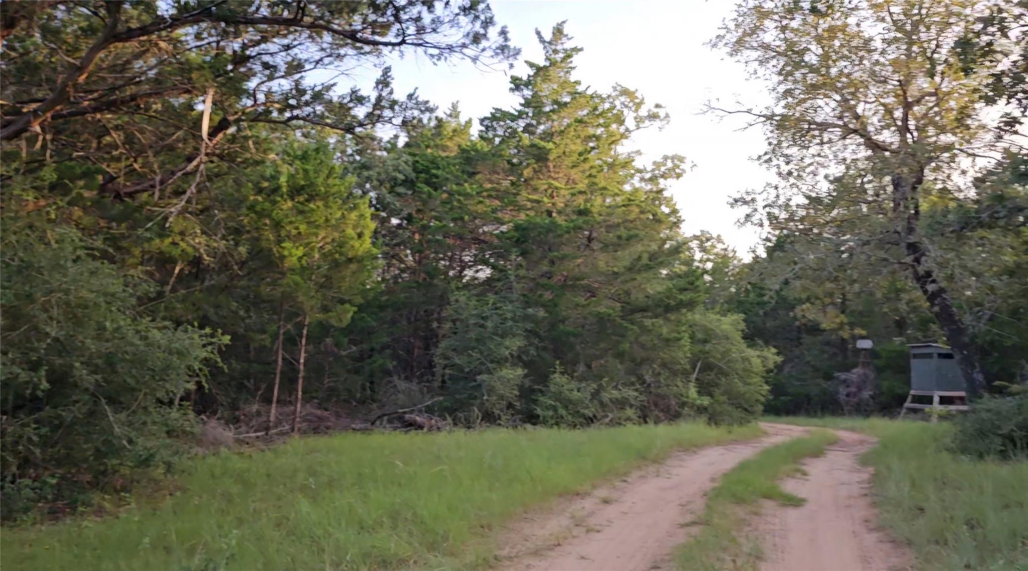 Ranch Land Easley RD — photo 4