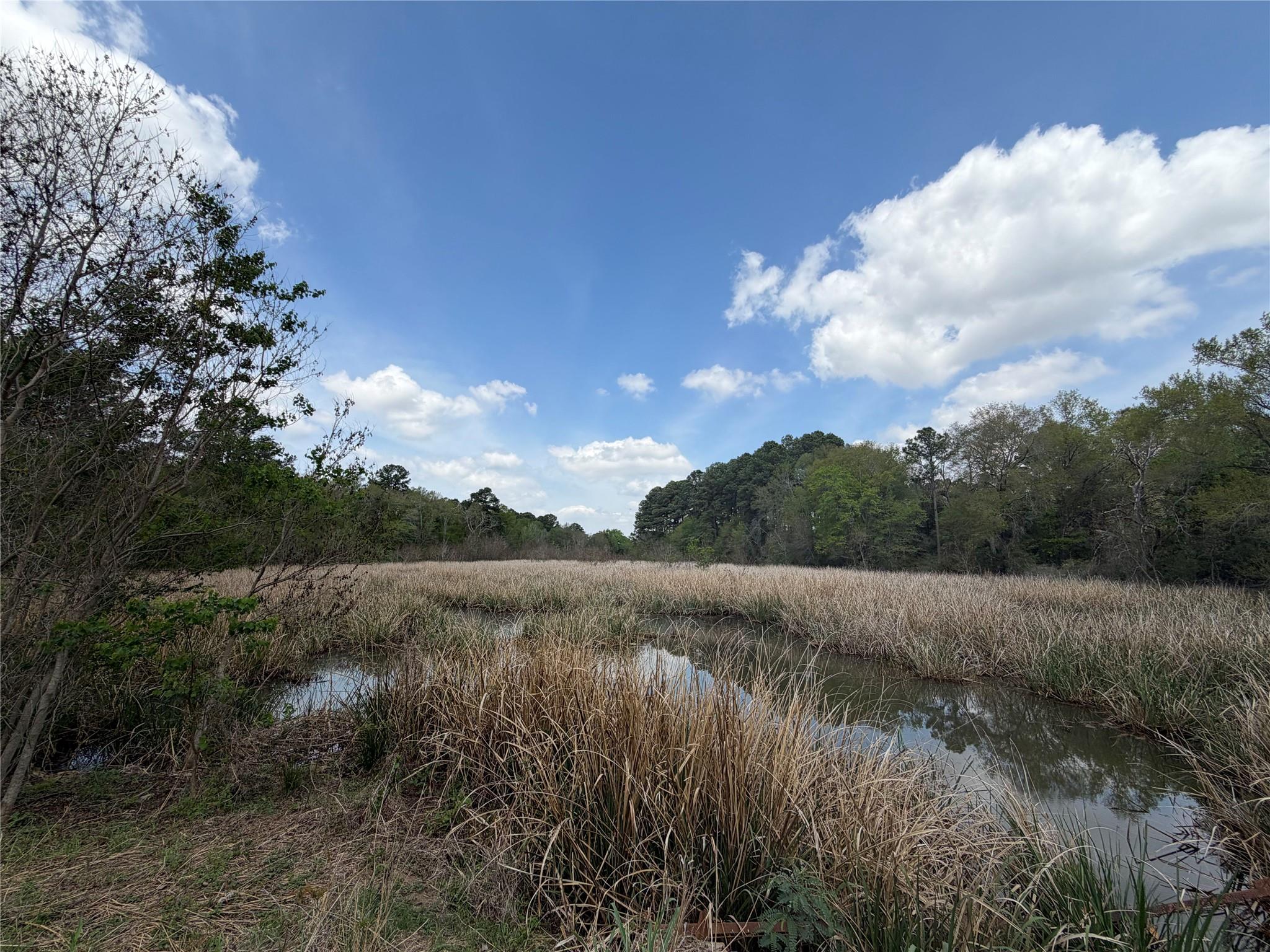 118 Edmonson Ranch RD