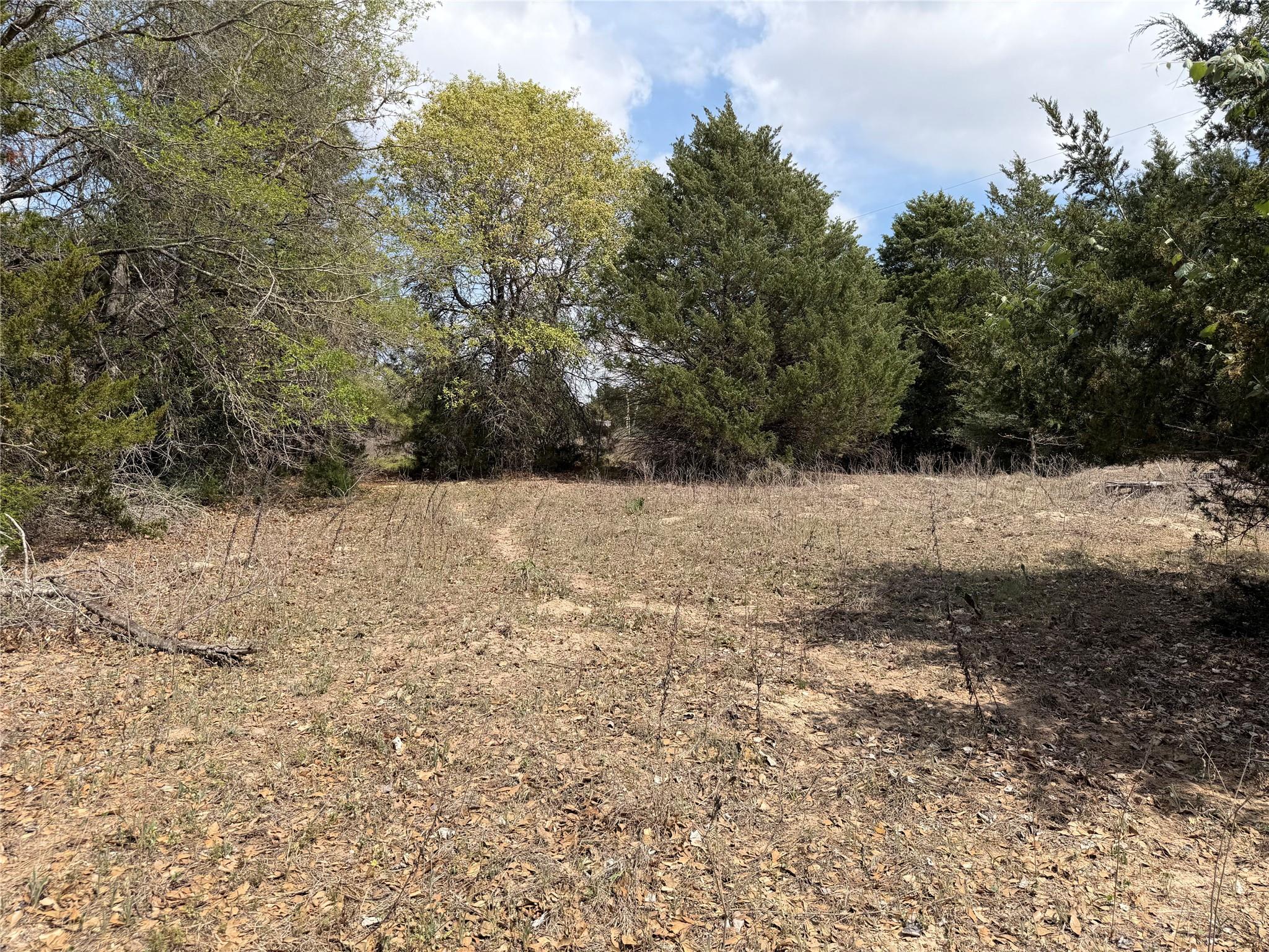 118 Edmonson Ranch RD — photo 3
