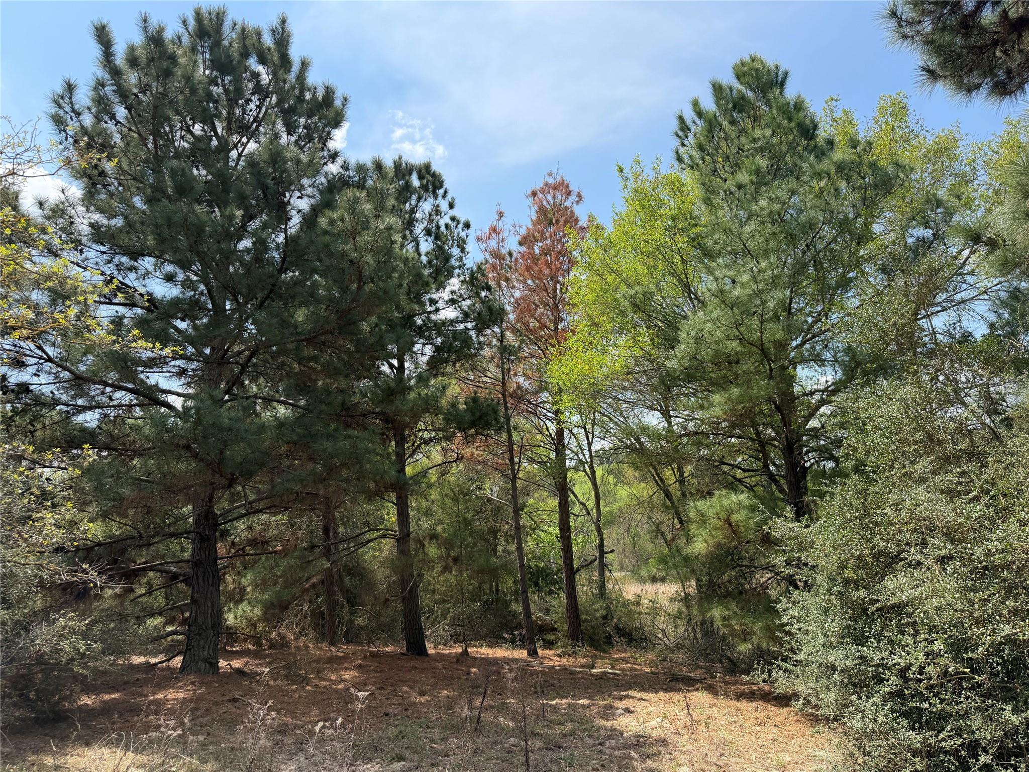 118 Edmonson Ranch RD — photo 4
