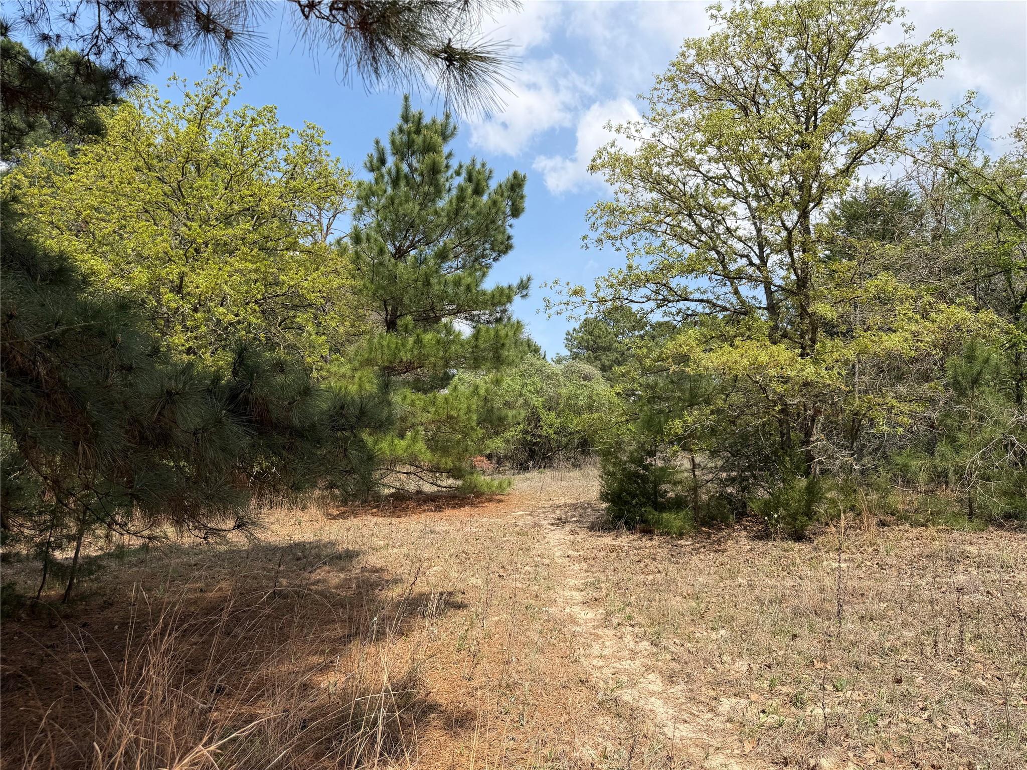 118 Edmonson Ranch RD — photo 5