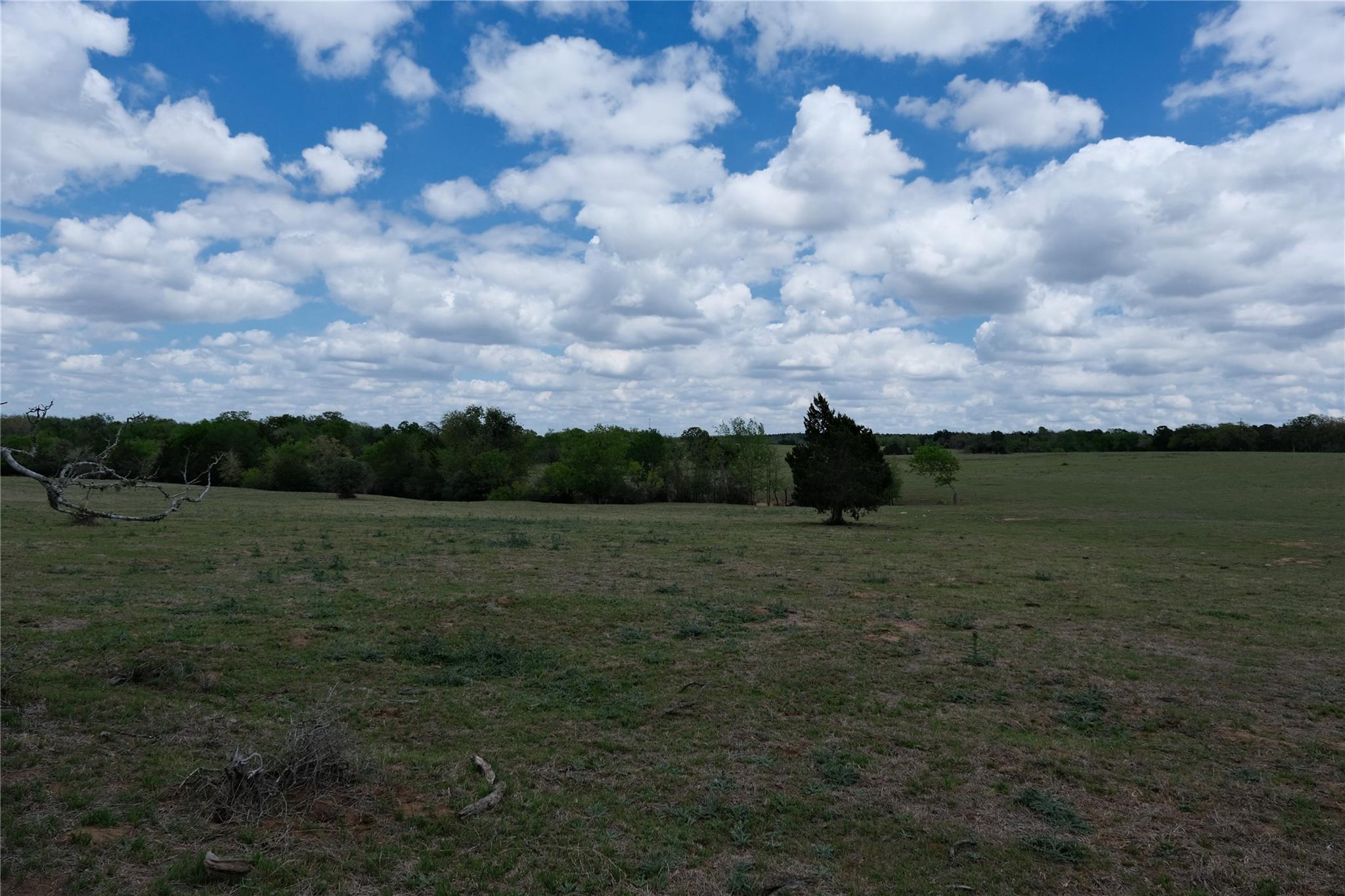 446 Herron TRL — photo 3