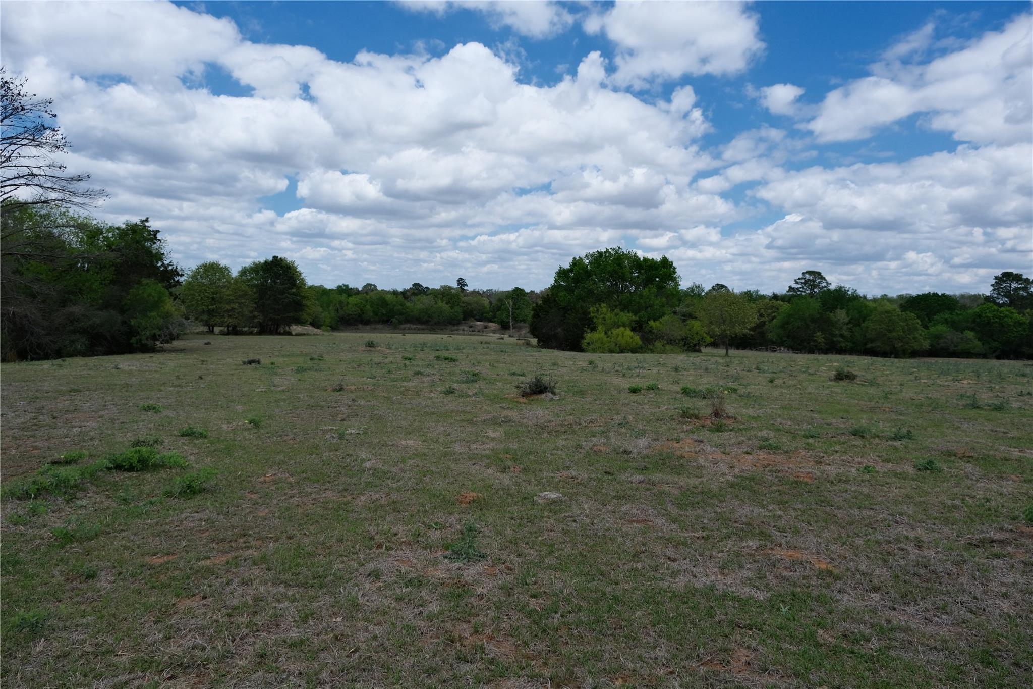 446 Herron TRL — photo 4