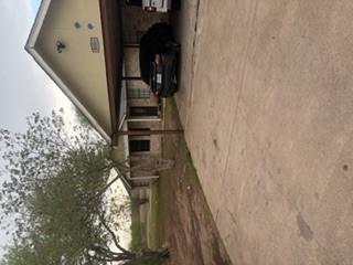 8000 Margo CV — photo 3