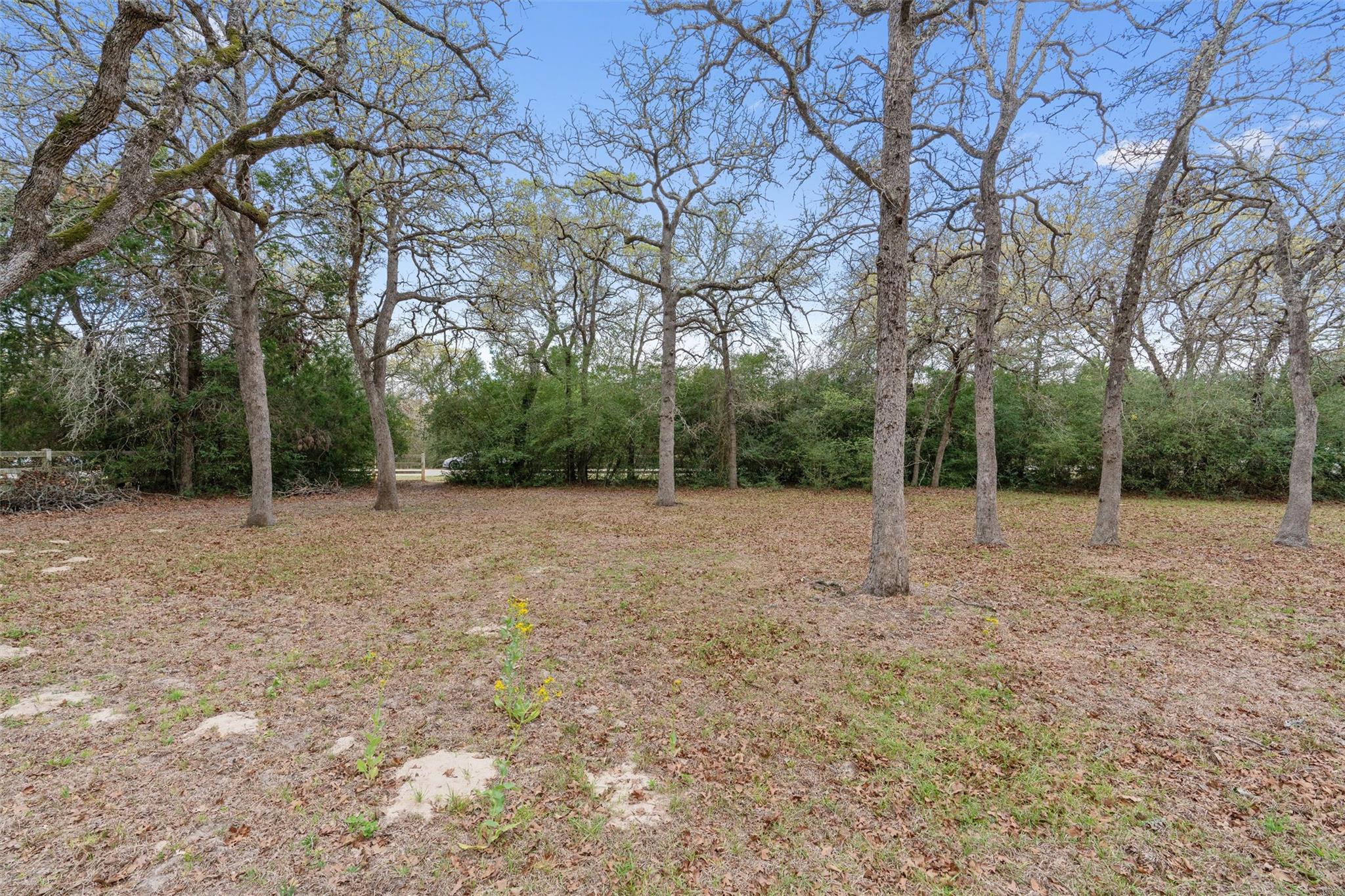 124 Kingwood DR — photo 3