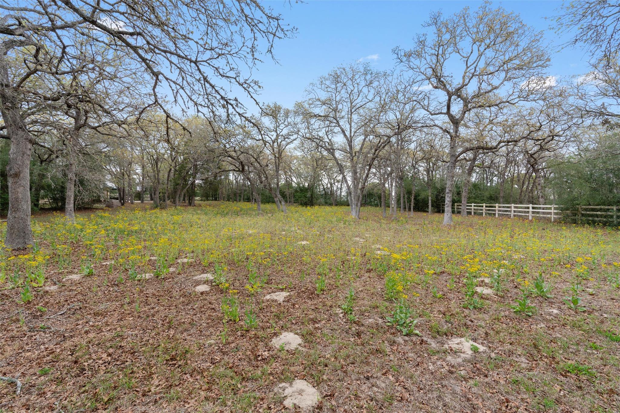 124 Kingwood DR — photo 4