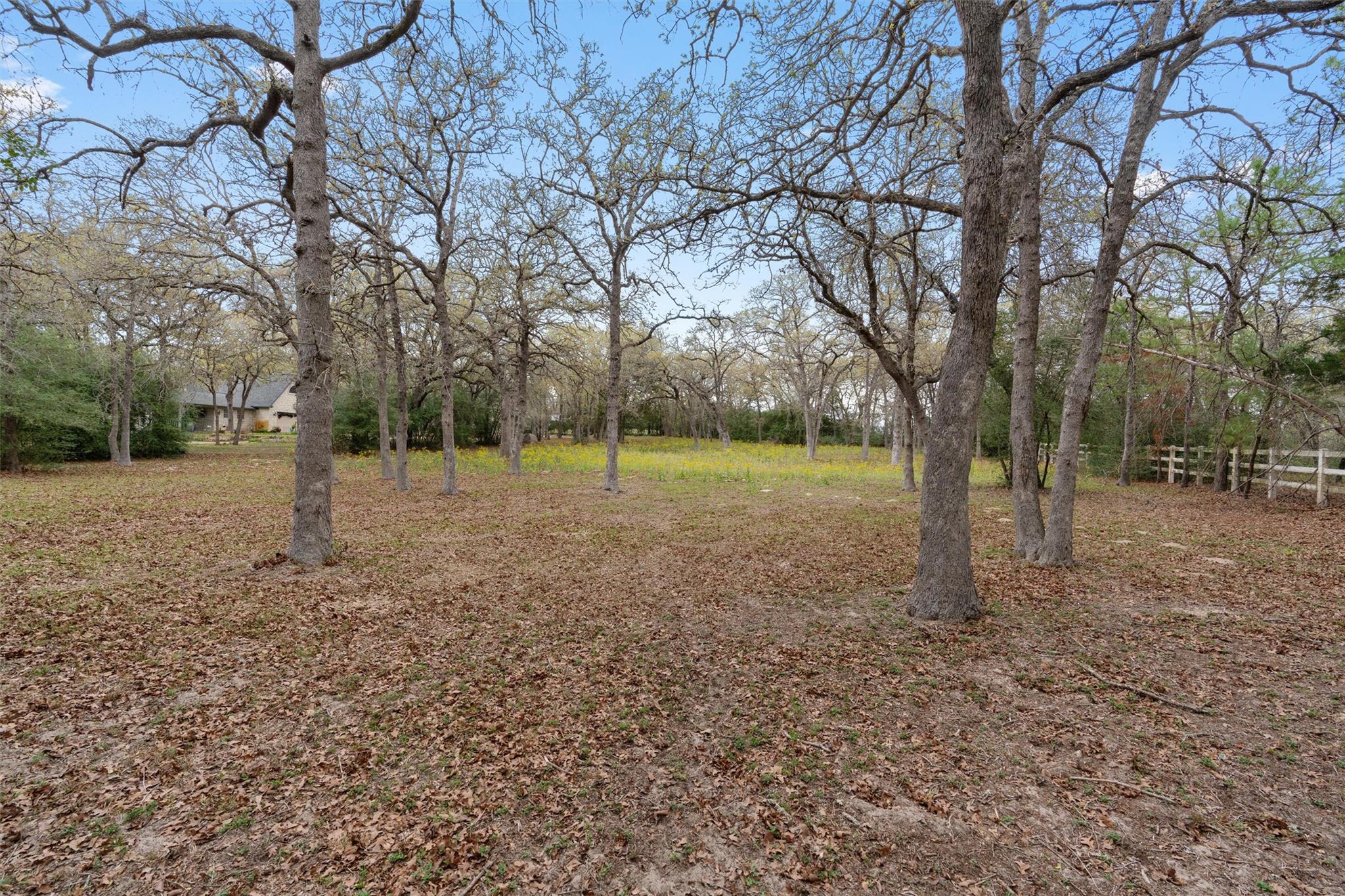 124 Kingwood DR — photo 5