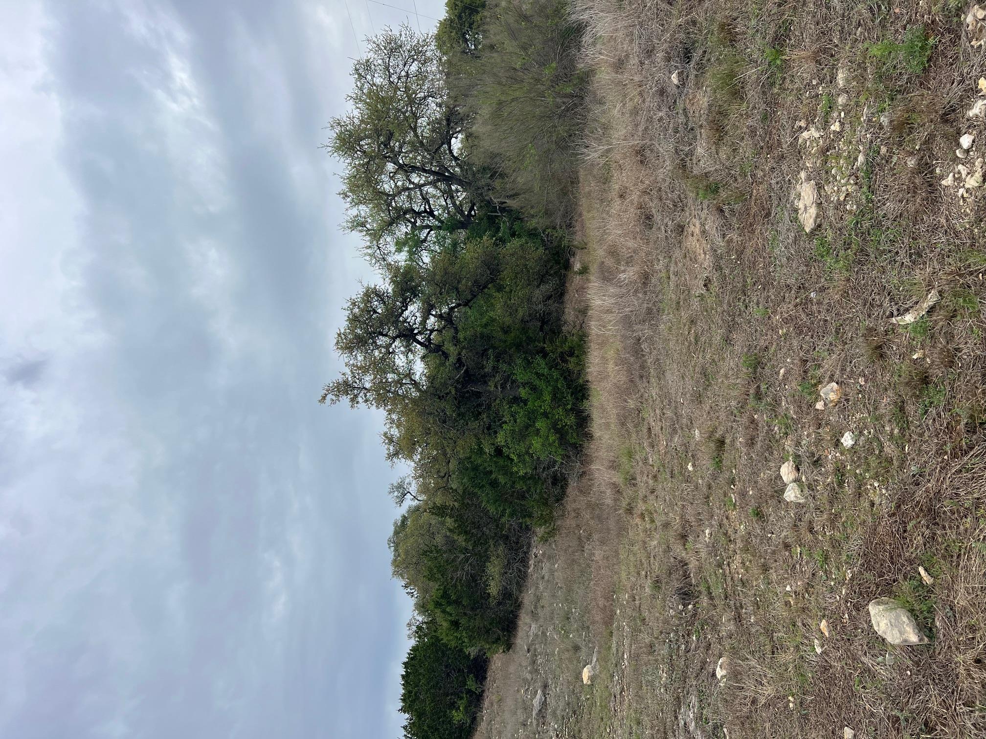 lot 67 Broken Spoke 5 Acres — photo 5