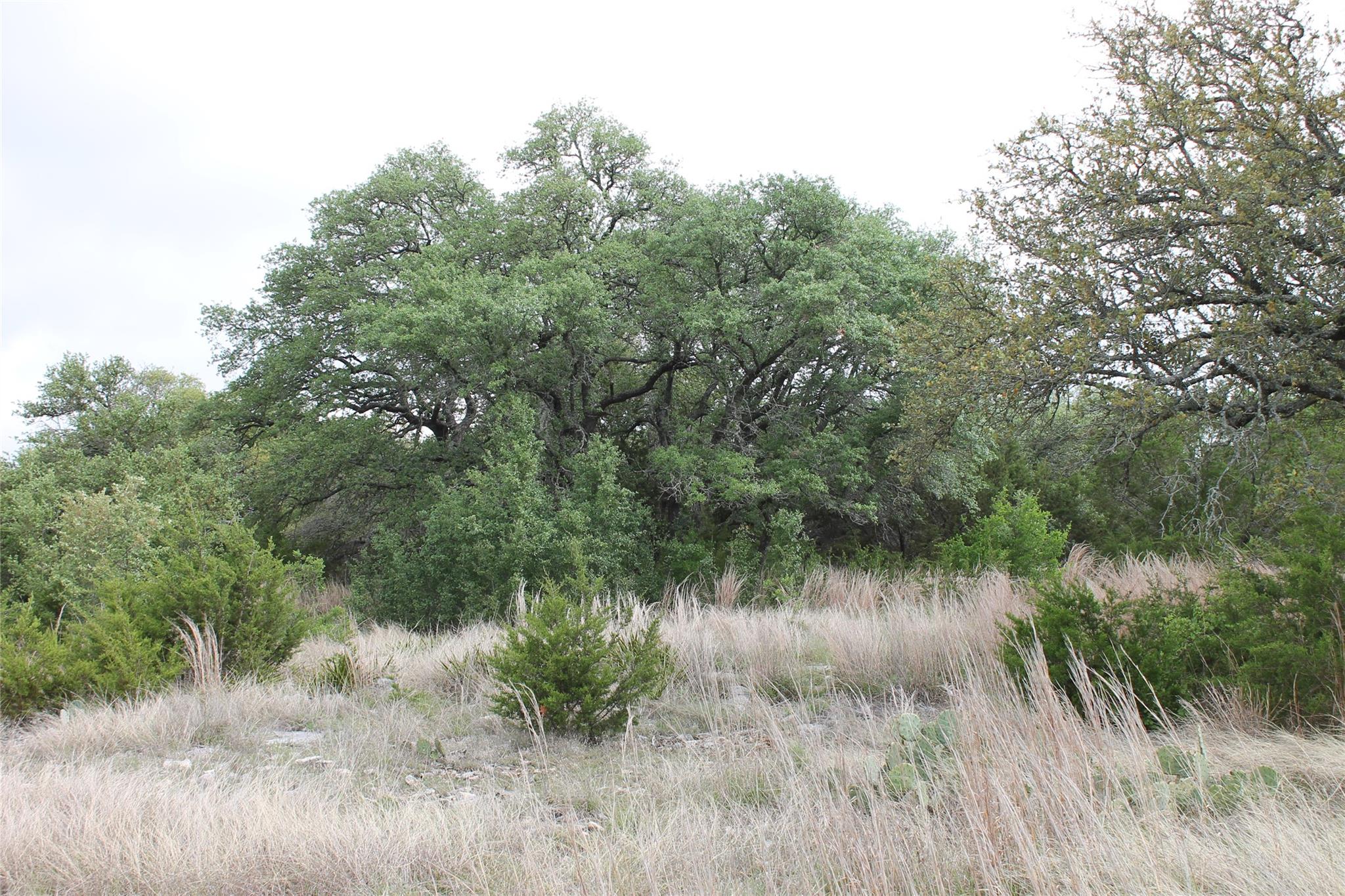 lot 1 Saddle Ridge DR — photo 5