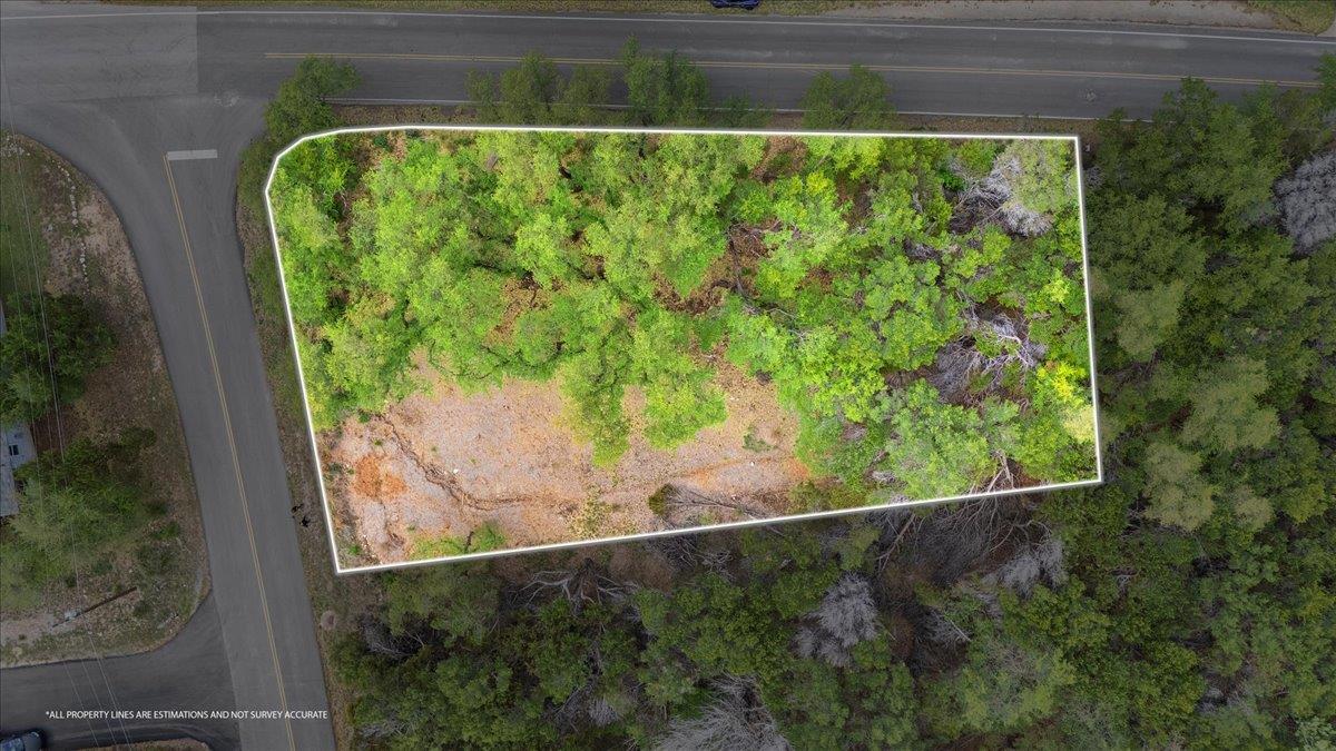 20404 Ridgeview RD — photo 5