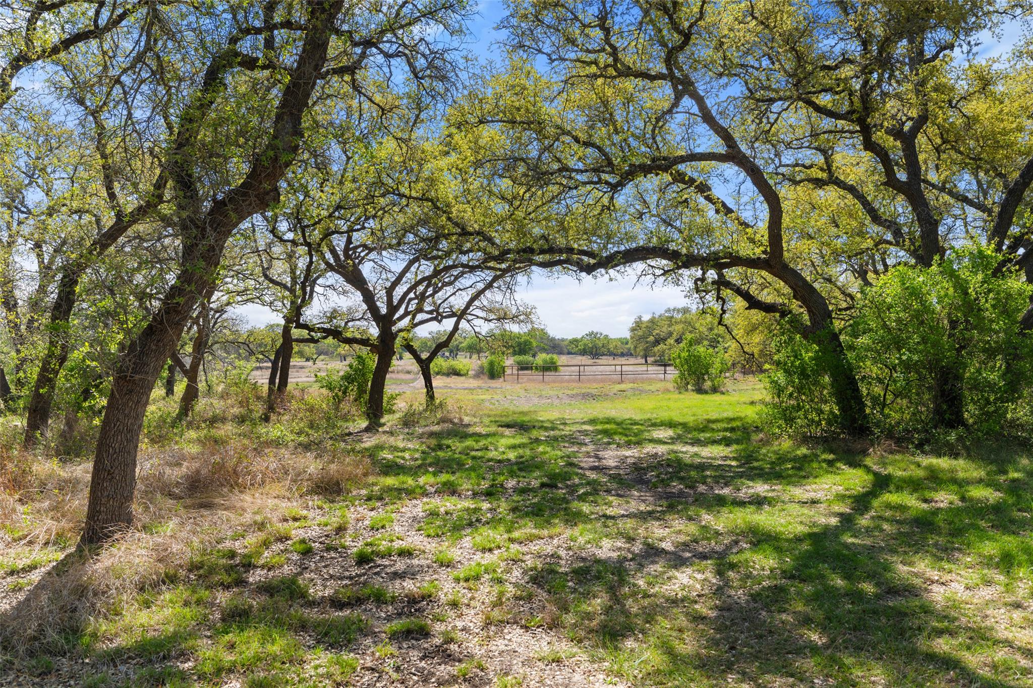 546 Lazy Oak RD — photo 5