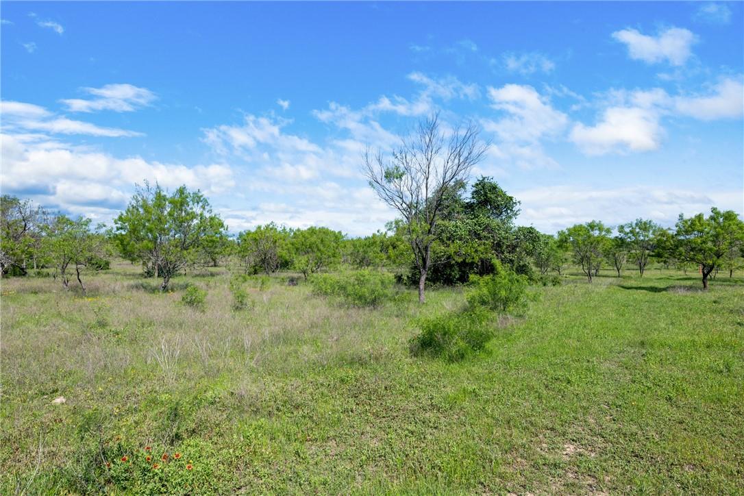 TBD CR 236 — photo 4