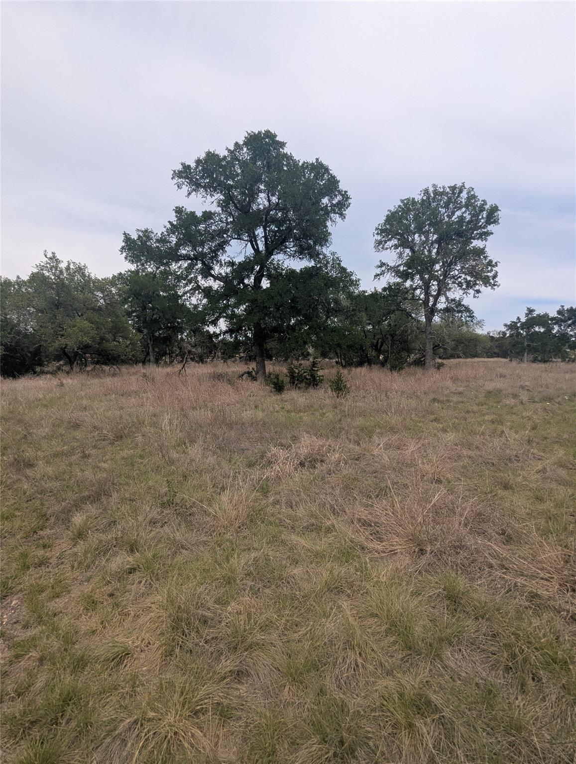 Lot 3 Bell Springs RD — photo 3