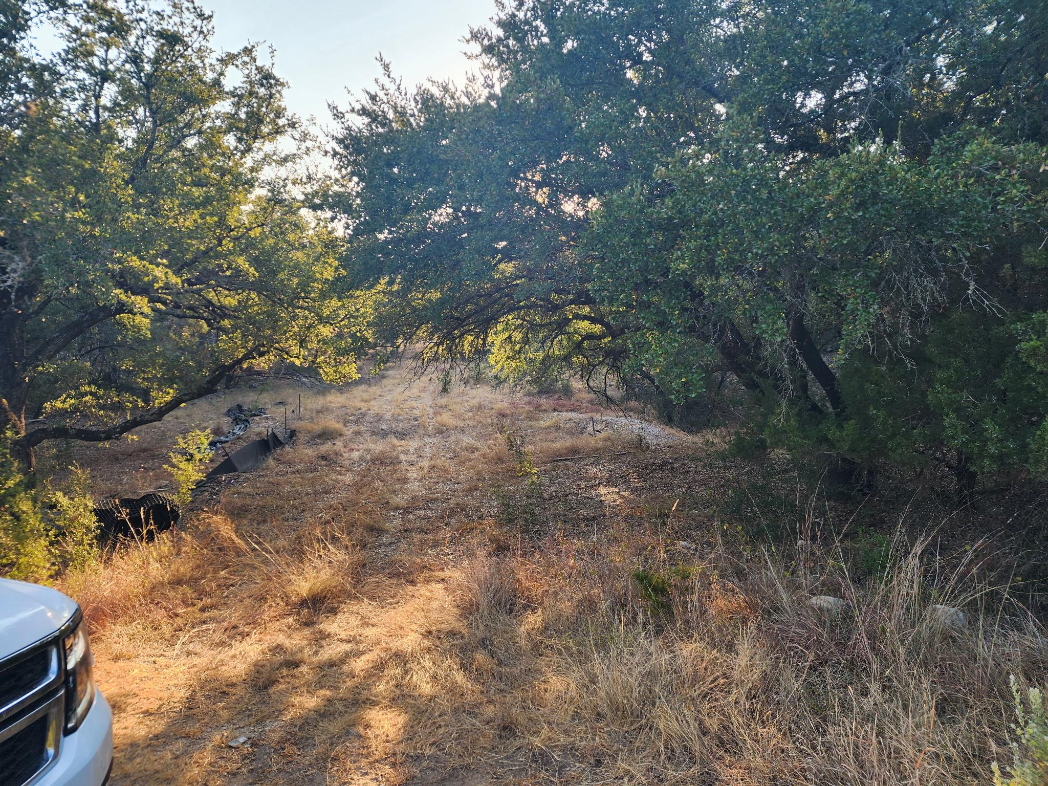 1304 Merlene DR — photo 4