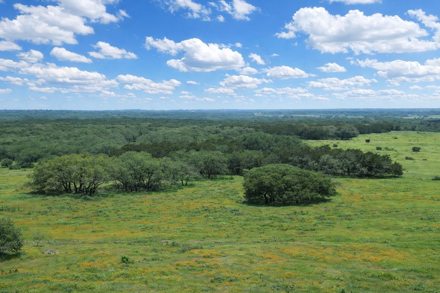 TBD CR 103 — photo 3