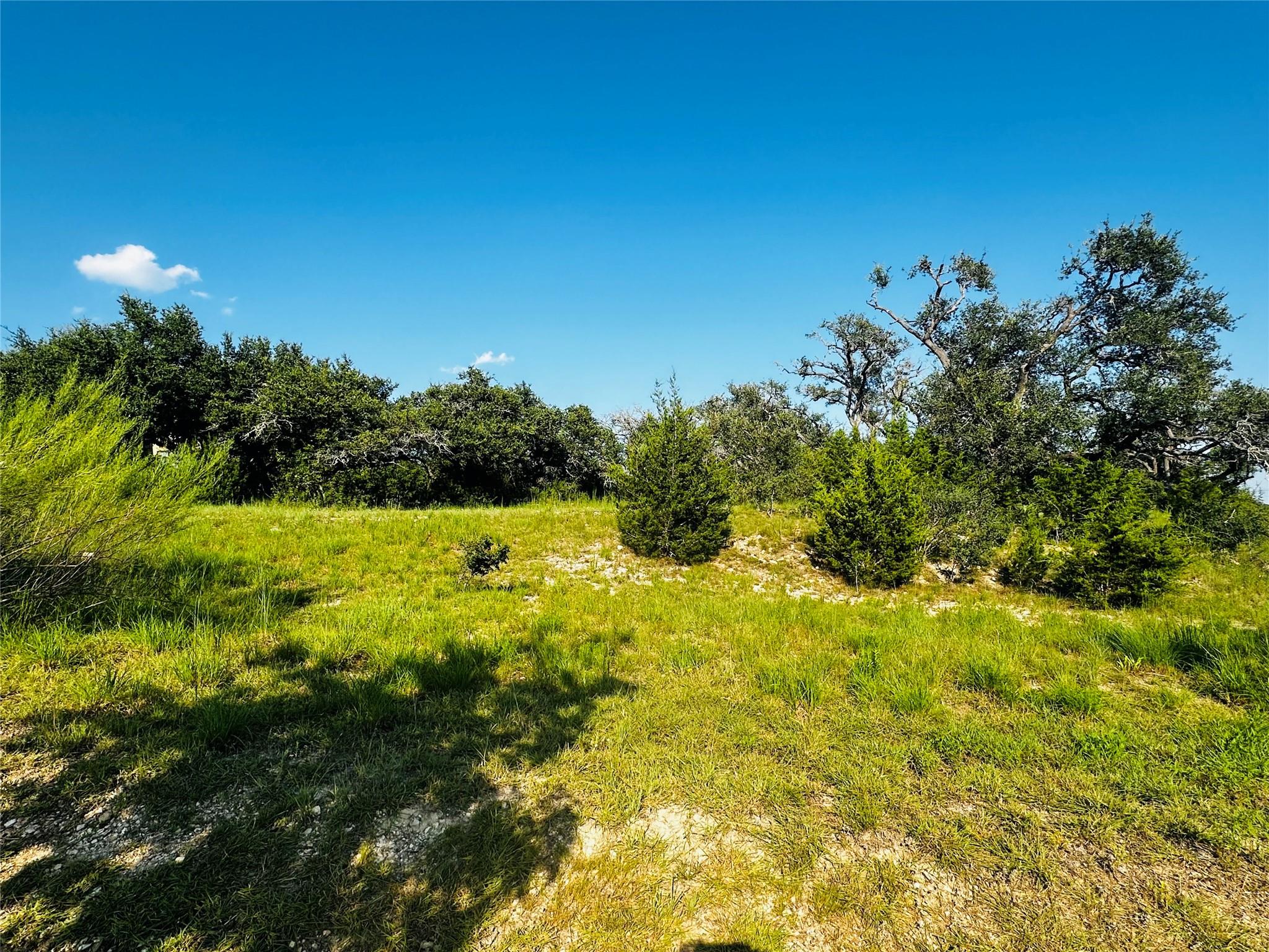 8701 Rollins DR — photo 5
