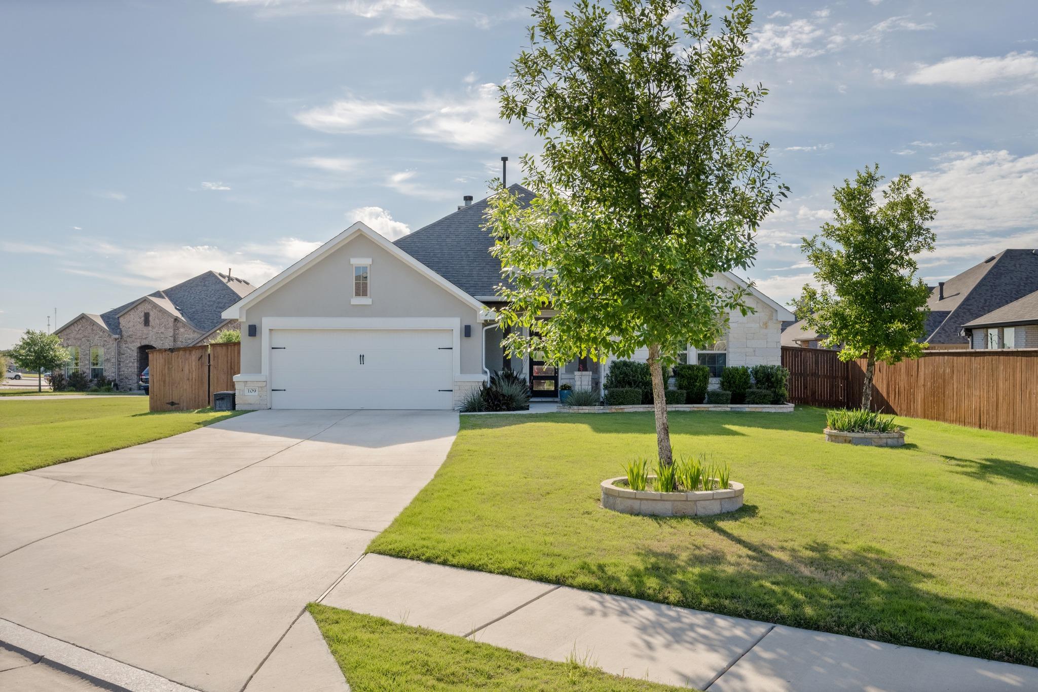 109 Seedling CT — photo 3