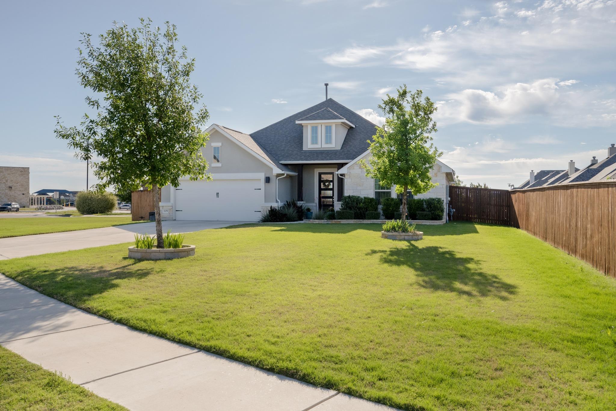 109 Seedling CT — photo 4