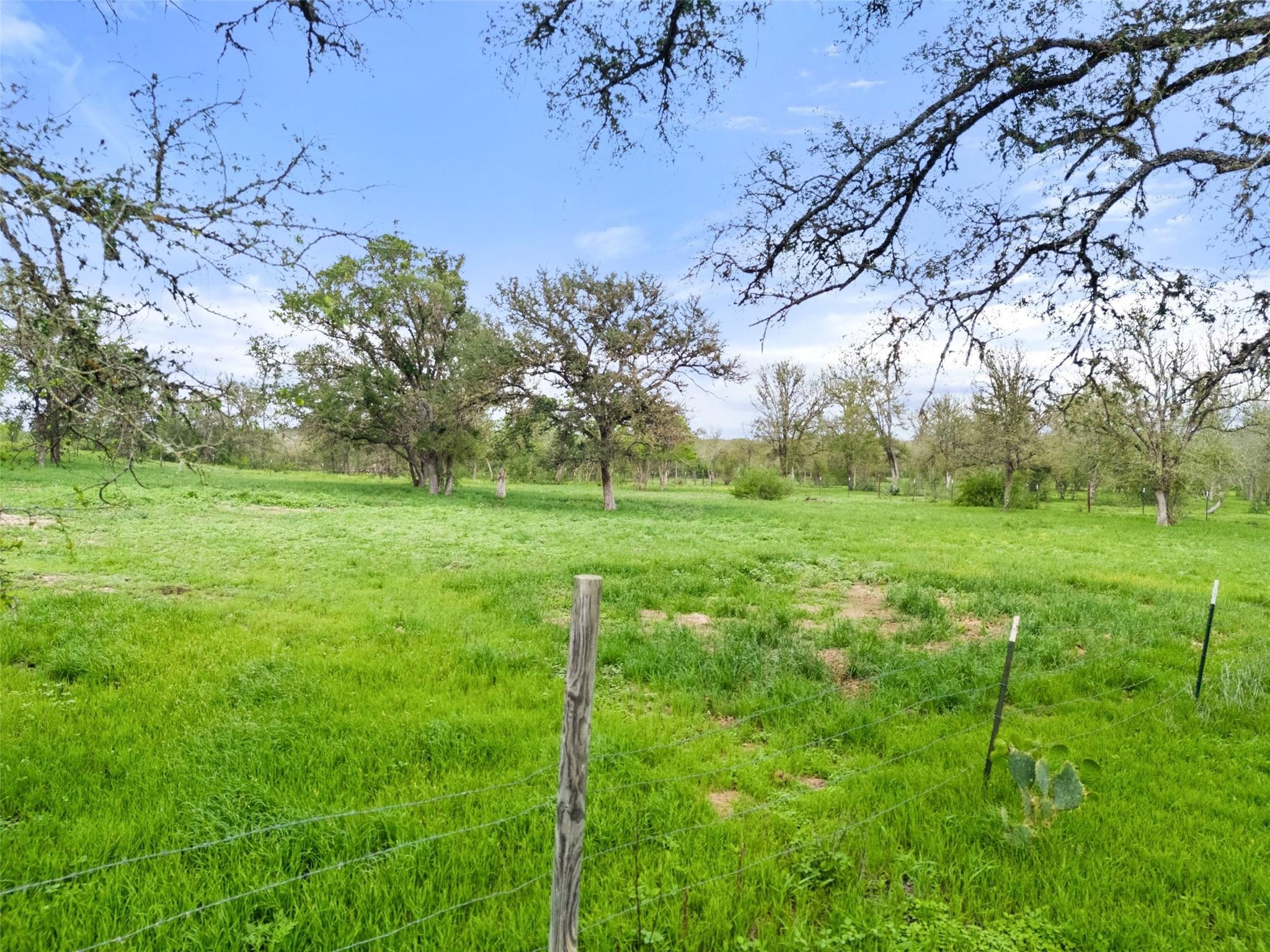274 Old Austin TRL — photo 4