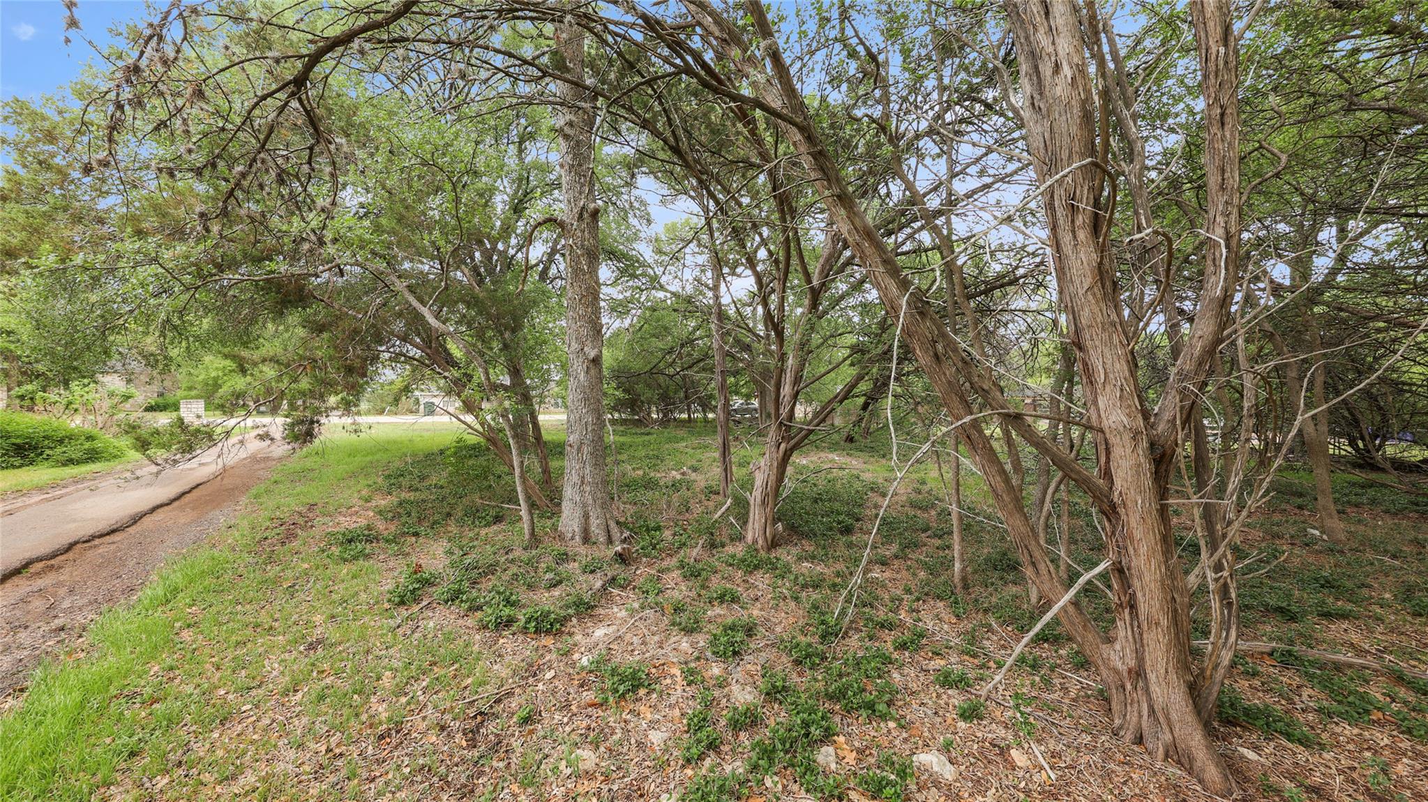 101 BROOKHOLLOW DR — photo 5