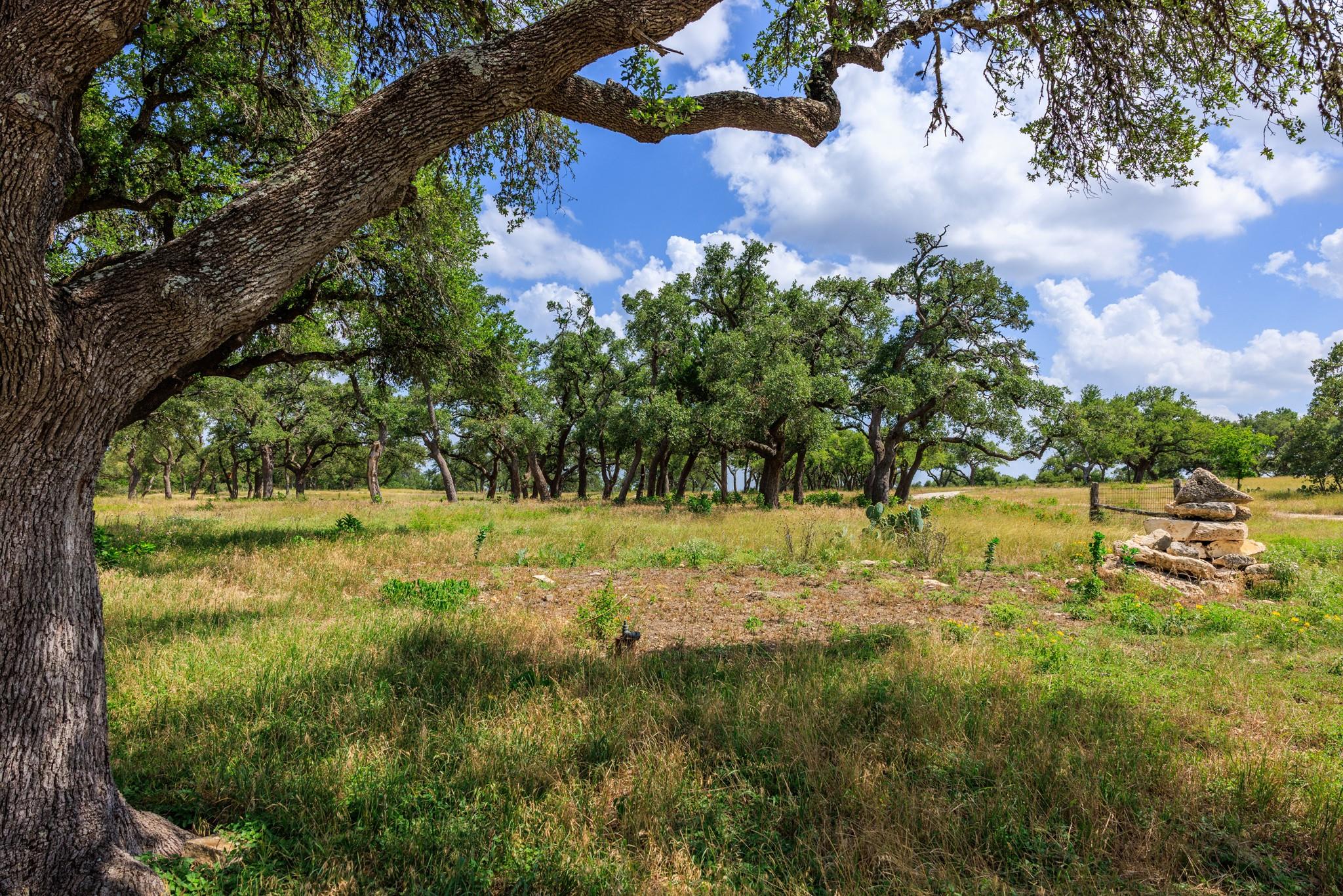 N/A Lone Man Mountain RD — photo 4