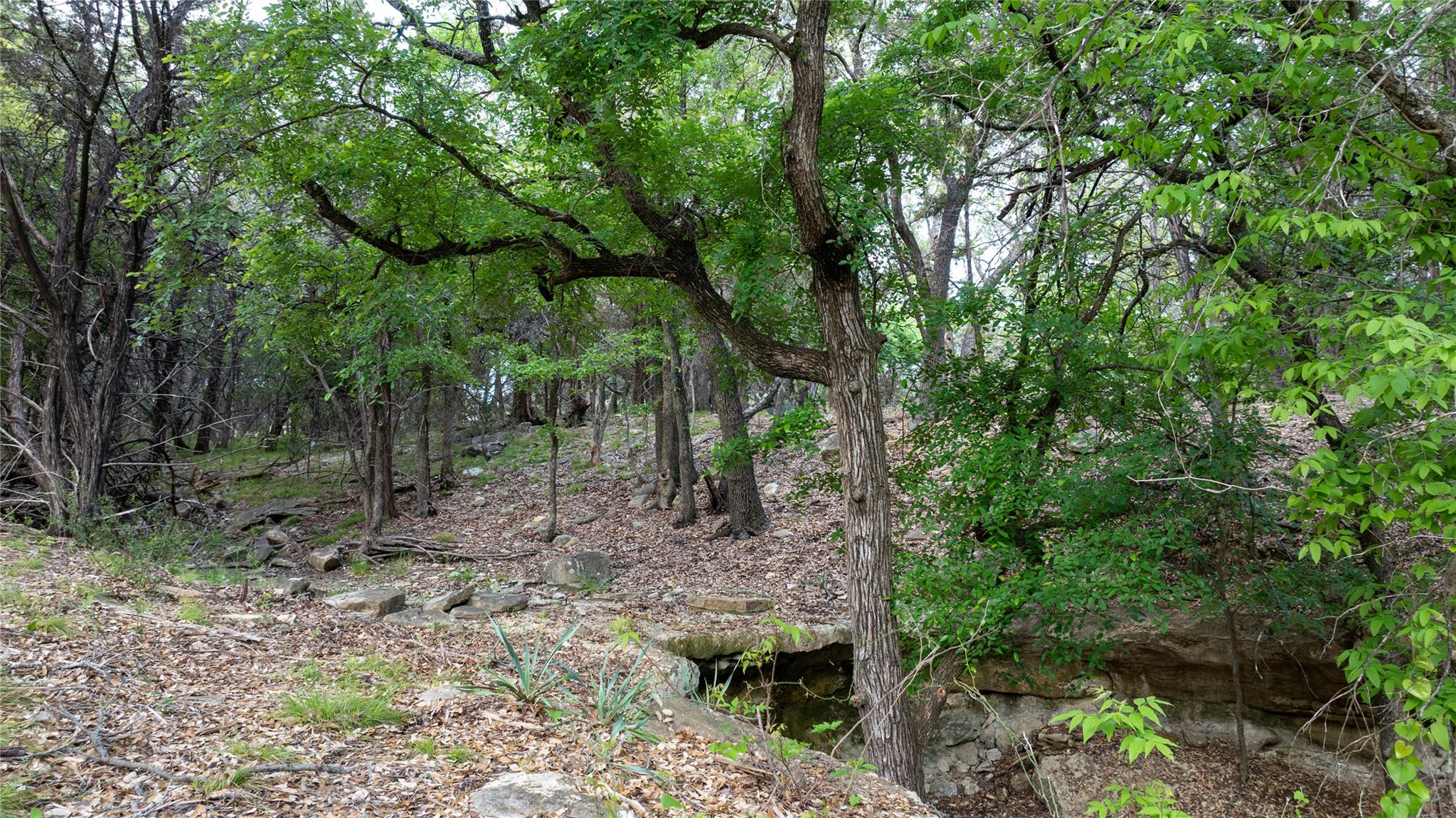 TBD N Us Highway 281 — photo 4