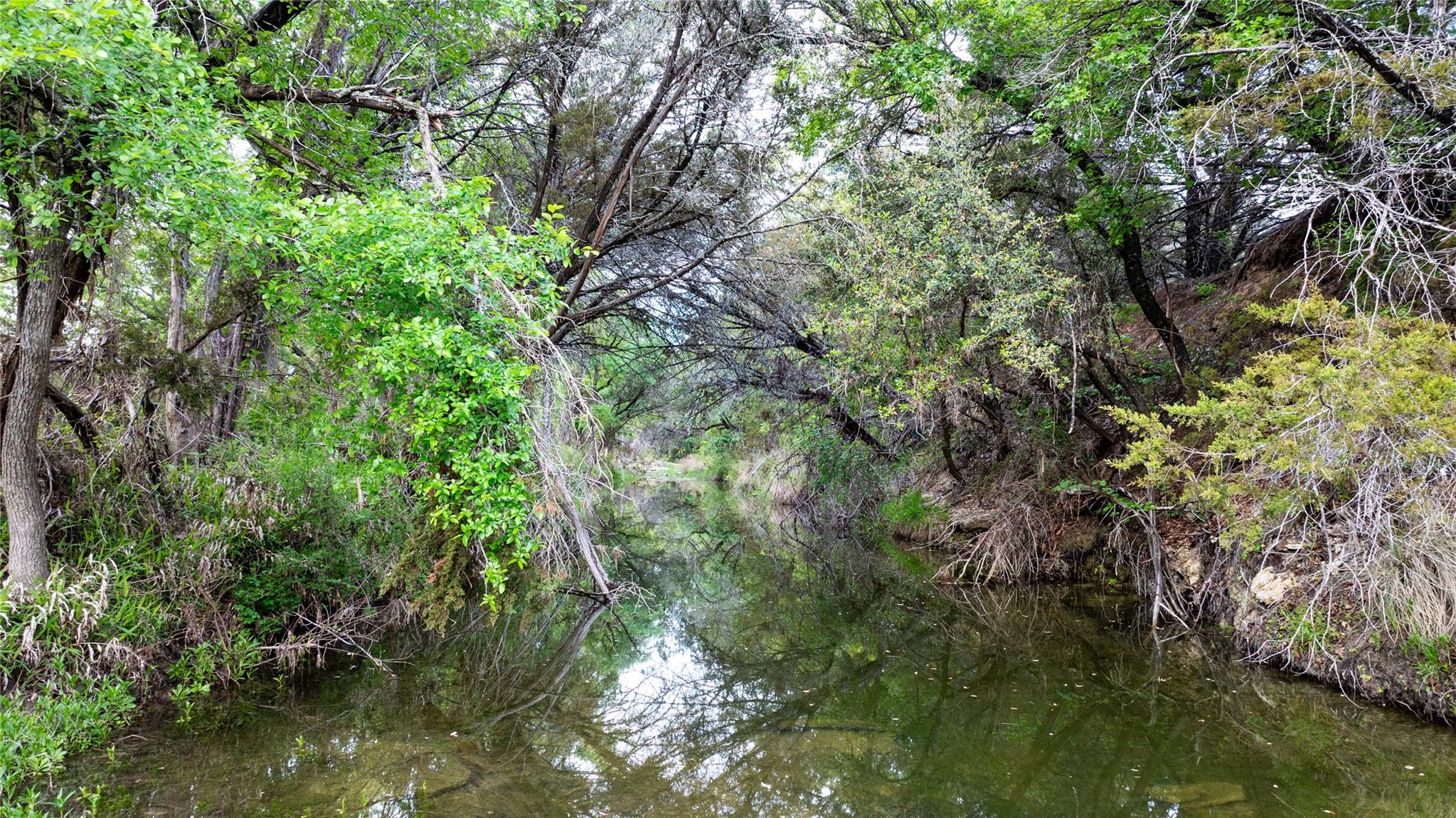 TBD N Us Highway 281 — photo 5
