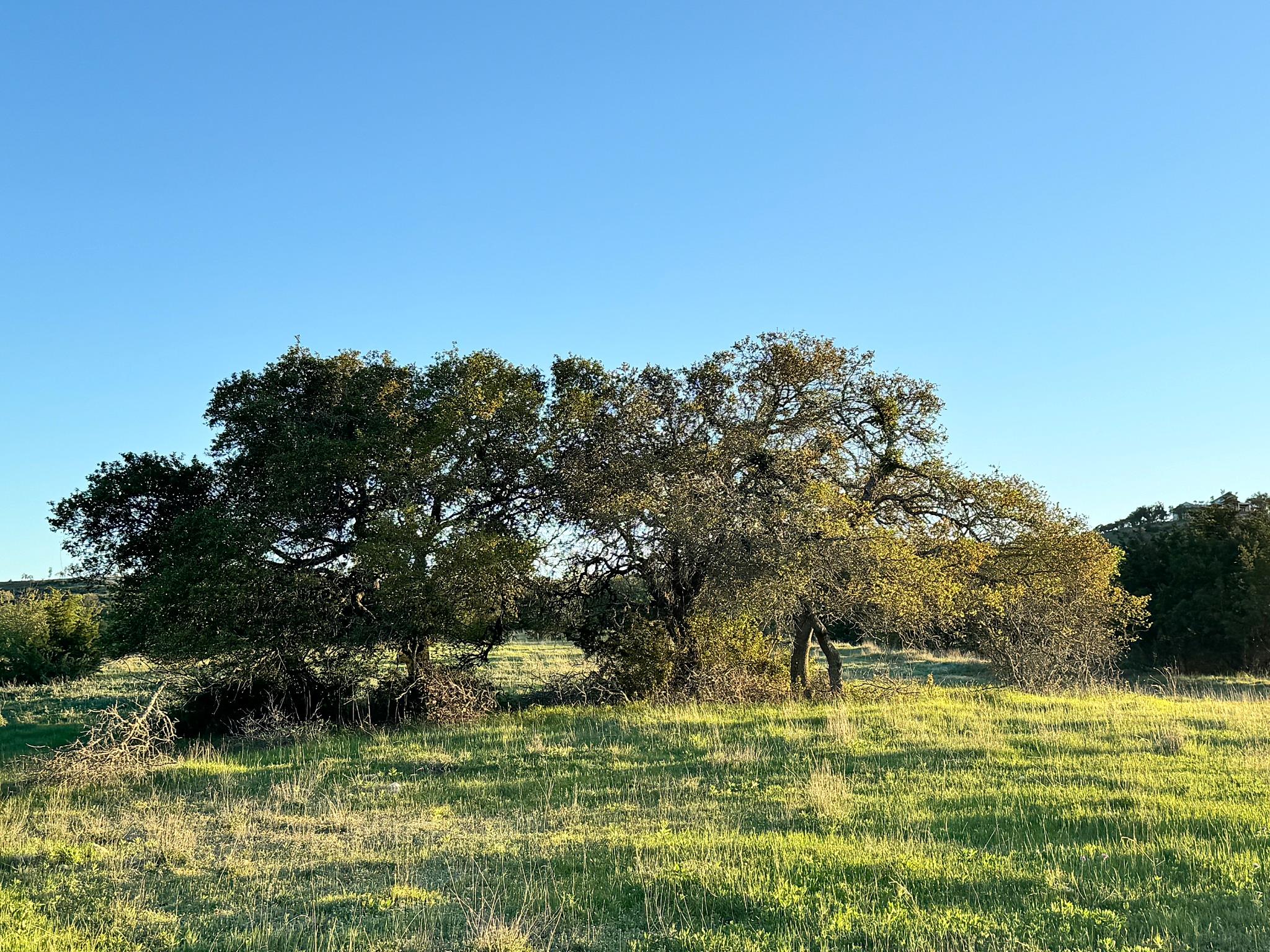 105 Majestic Hills — photo 3