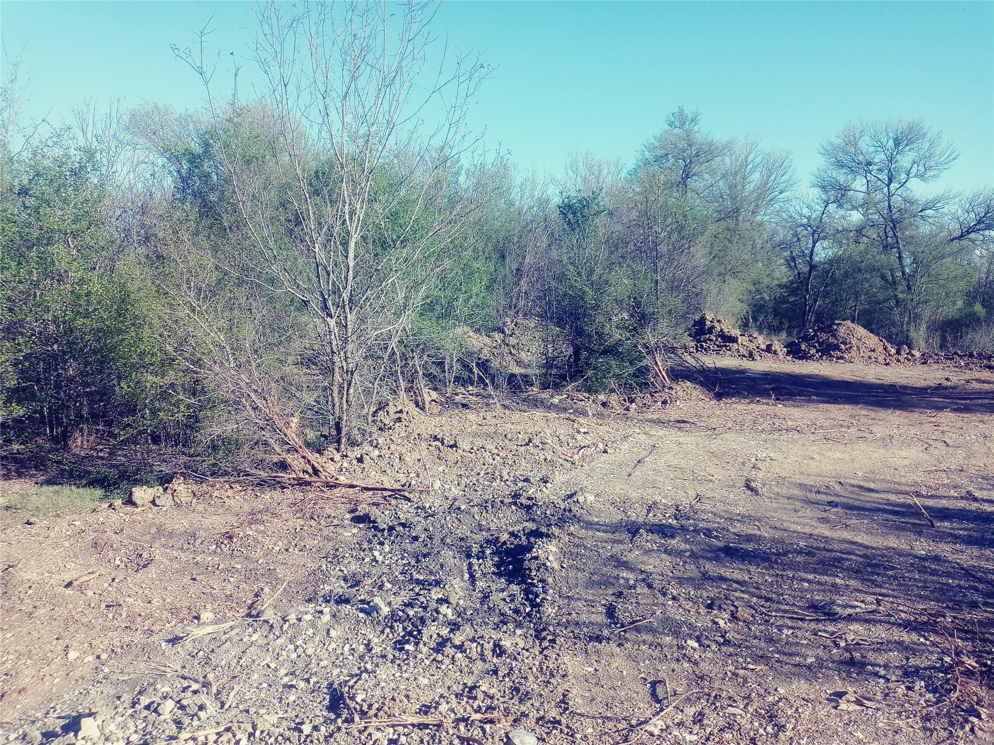 8818 Elroy RD — photo 5