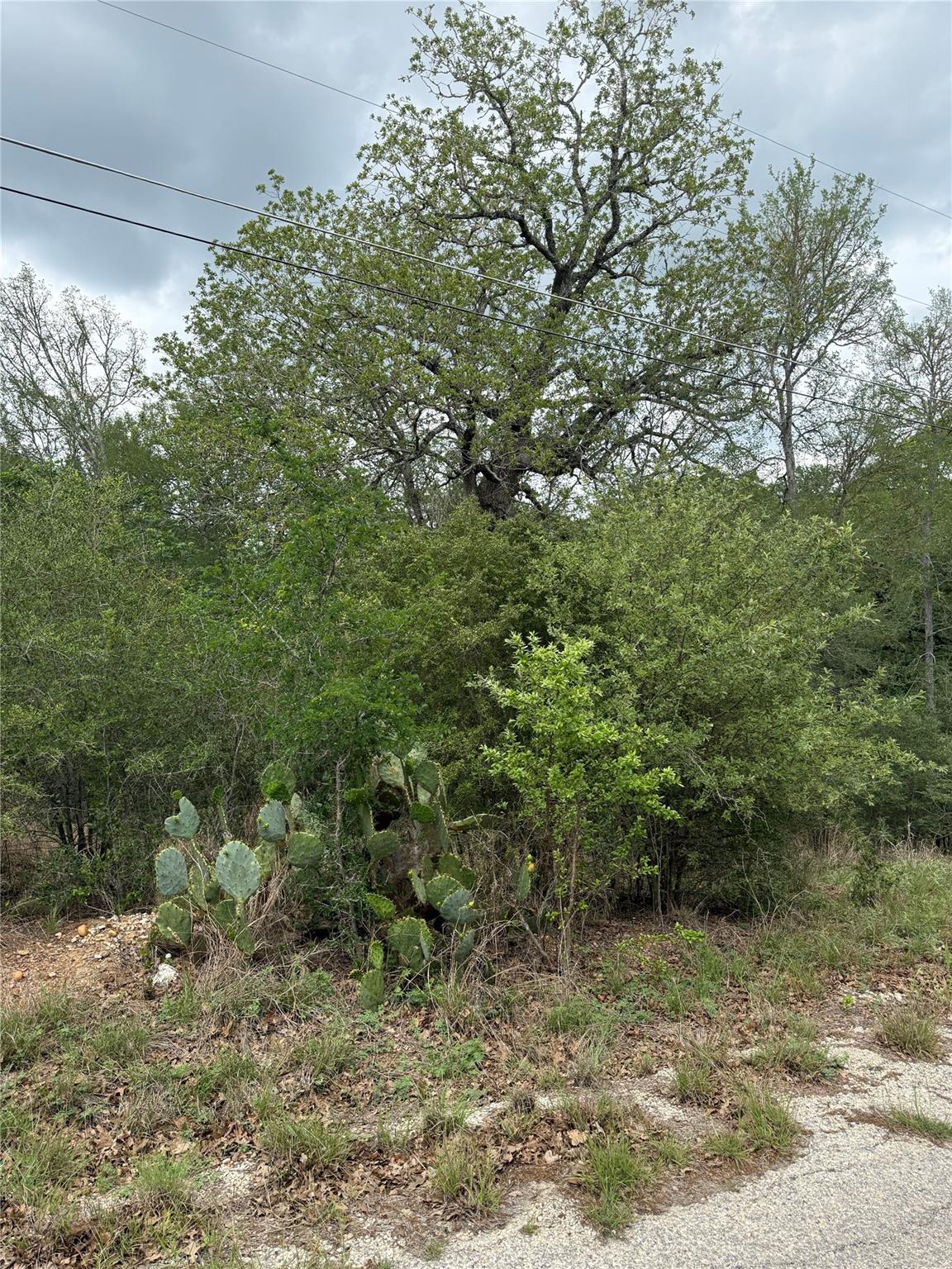 lot 69 Kaelepulu DR — photo 3