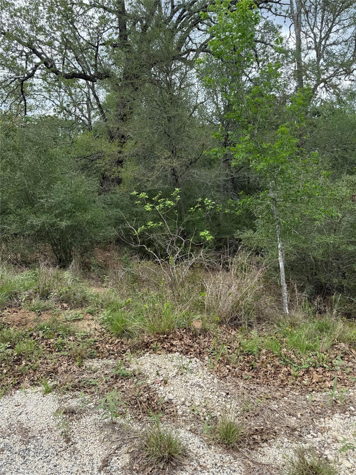 lot 69 Kaelepulu DR — photo 4