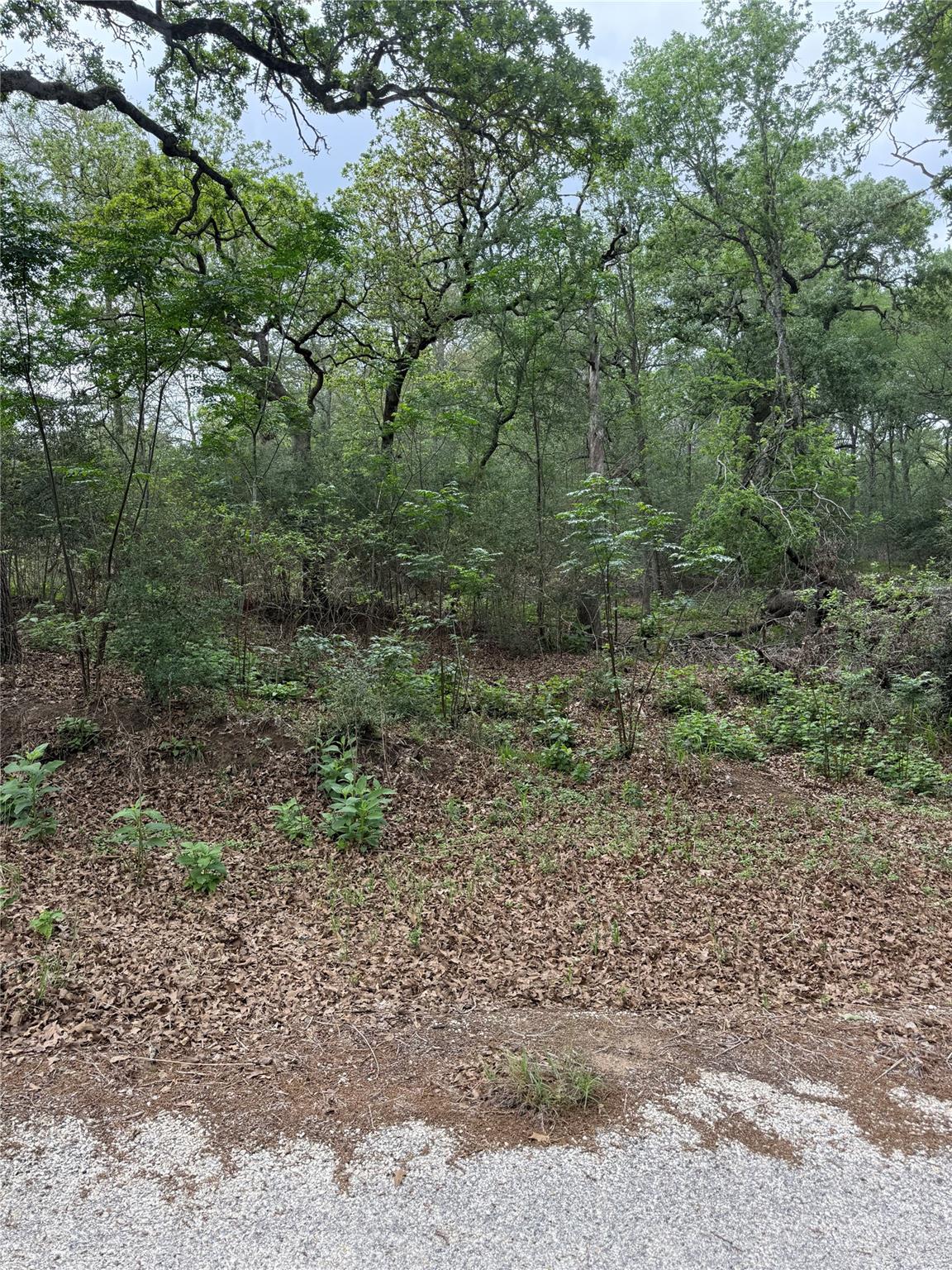 lot 70 Kaelepulu DR — photo 3
